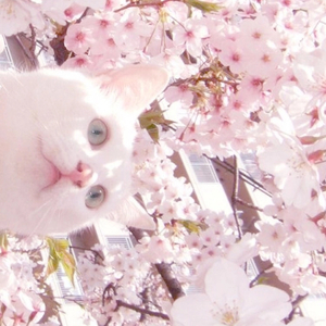 港台女人做爱视频
